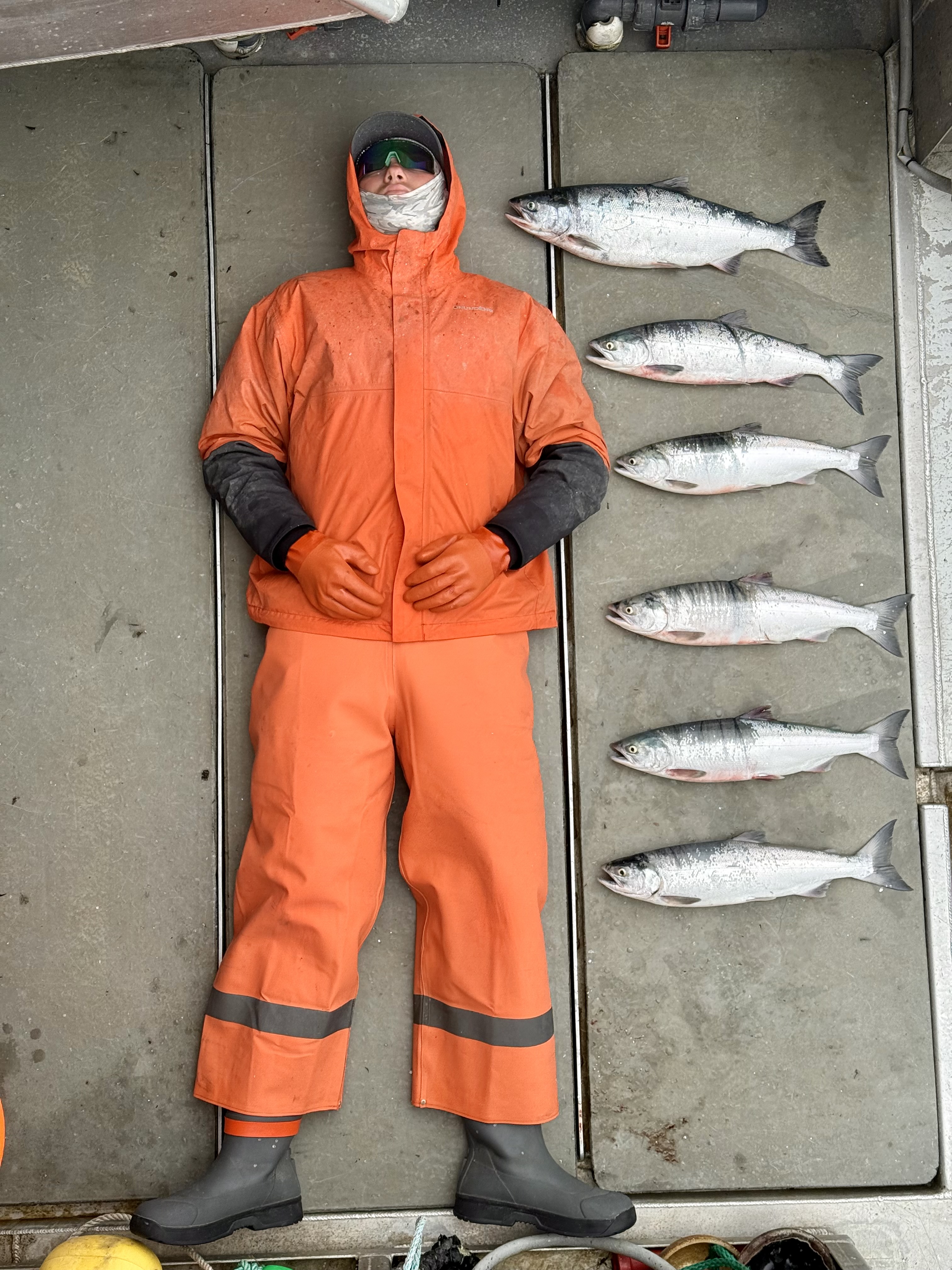 The harvest — Alaska salmon