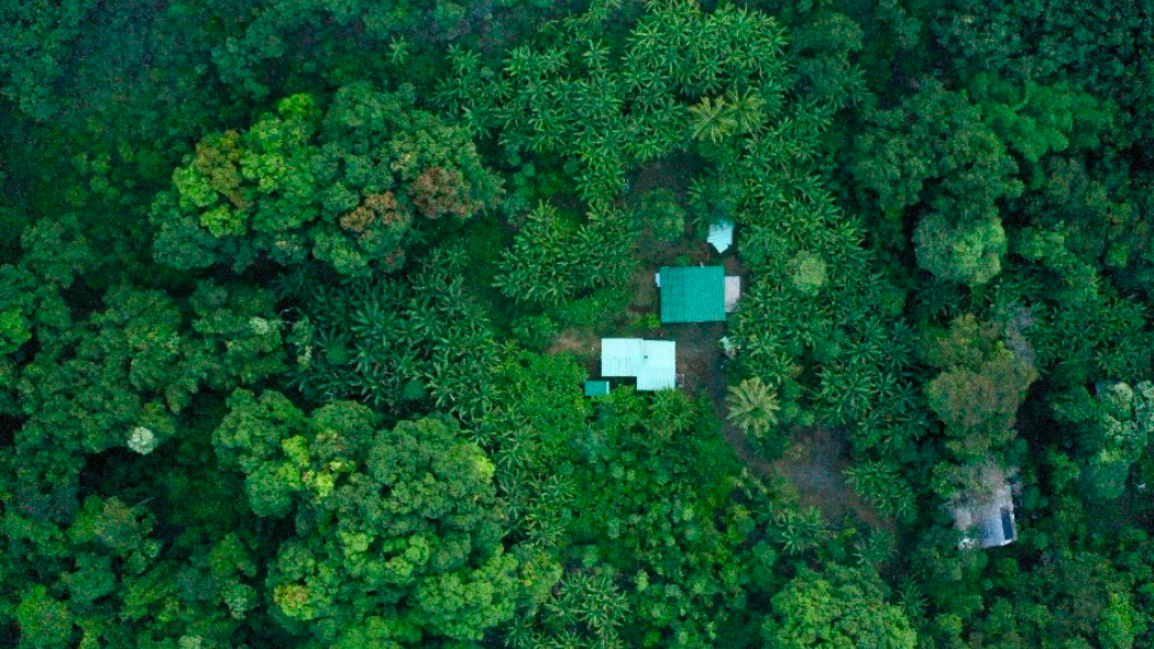 Molokai farm and homestead