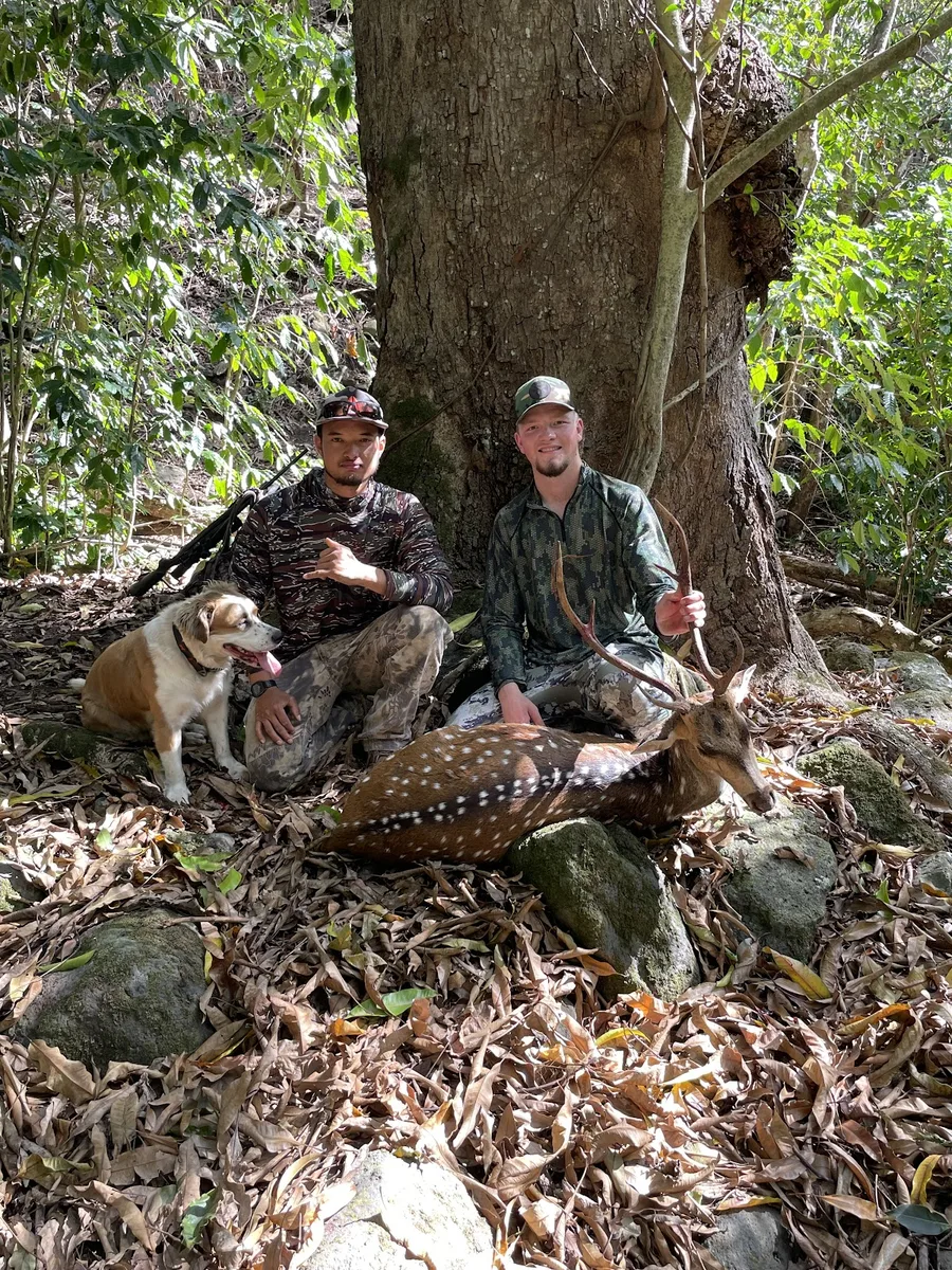 Two hunters and a dog sit behind a harvested axis buck beneath a large tree.
